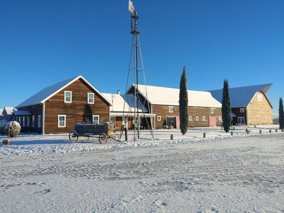 Tour Campos Menonitas desde Chihuahua
